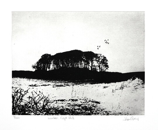 Winter, Copt Hill