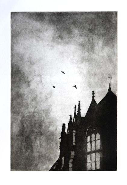 Ushaw Jackdaws
